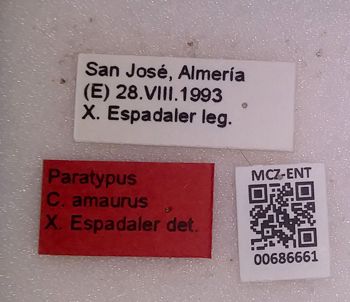 Media type: image;   Entomology 686661 Aspect: labels